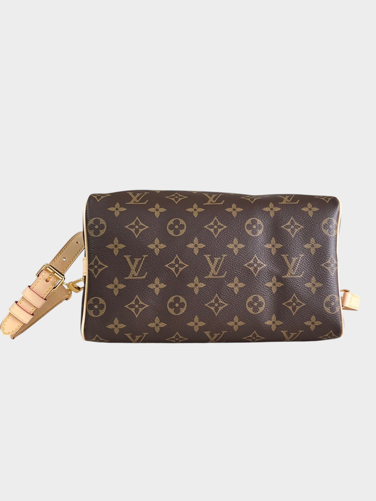 Zebass Louis Vuitton monogram coated canvas satchel with light leather trim and gold hardware