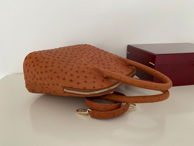 Elegant Brown Women Bag